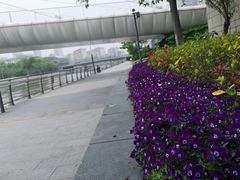 -映月湖中央公园
