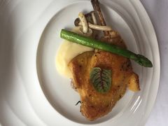 -蝶舍·MAISON PAPILLON