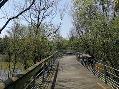 -西湖风景区-江洋畈生态公园