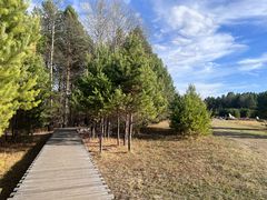 -北极村旅游风景区