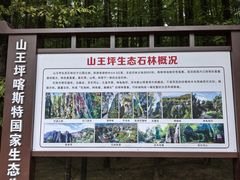 -山王坪喀斯特国家生态公园