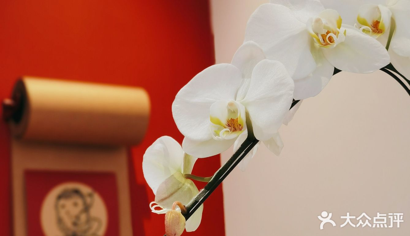 （第7杯☕️）腊八节，你喝咖啡了吗？