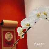 （第7杯☕️）腊八节，你喝咖啡了吗？