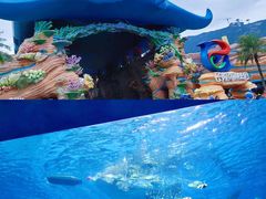 -珠海长隆海洋王国