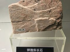 -甘肃地质博物馆