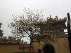 -方山风景区定林寺