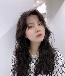 -蚂蚁造型沙龙