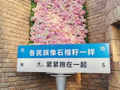 -伊带伊路新疆美食府(呼家楼店)