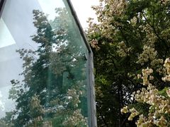 -西湖文化广场