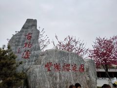 -古柏渡飞黄旅游区