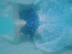 -白鹿温泉加勒比水上乐园
