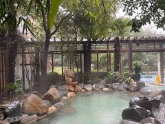-张家港金凤凰度假村温泉