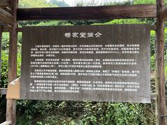 -杨家堂村