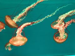 -多彩贵州城极地海洋世界