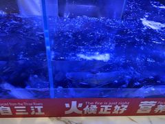 -三江源活鱼现烤(维多利摩尔城店)