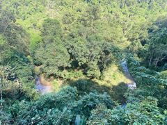 -野象谷景区