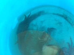 -嵊泗基湖沙滩