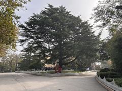 -青岛德国总督楼旧址博物馆