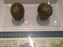 -香港科学馆