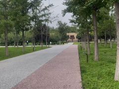 -汉长安城未央宫国家考古遗址公园