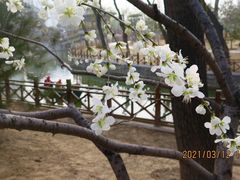 -迎泽公园