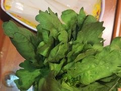 -芦月轩羊蝎子(劲松店)