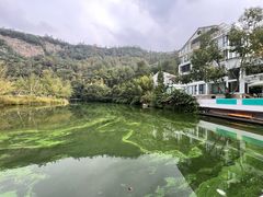 -芦茨金富饭庄·25年老字号·专做稻草鸡