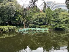 -叶家花园