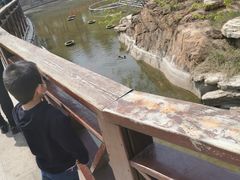 -贮水山儿童公园