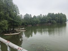-东湖落雁景区