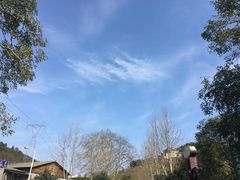 -咸宁太乙国际温泉度假村