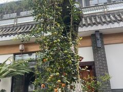-老幺泉水鸡