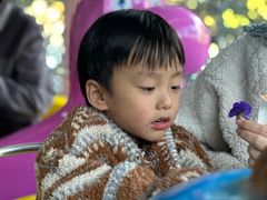 -杭州少年儿童公园