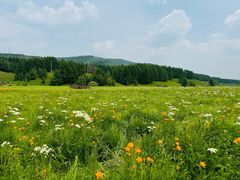 -塞罕坝国家级自然保护区