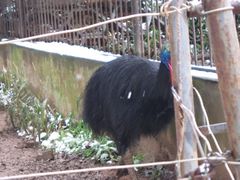 -昆明动物园