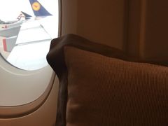 -新加坡航空公司(ION)