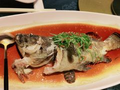 -钟菜·粤菜点心·宴请(海上世界·汇港二期店)
