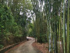 -红山村