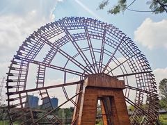 -王借岗森林公园