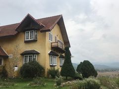 -黄色小屋