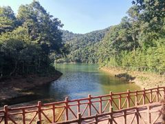 -广州市石门国家森林公园