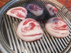 手切羊肋条-红小姐的烤肉店(西三旗店)
