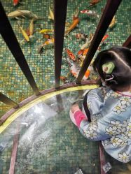 -酷嗒动物文化乐园(cutezoo西溪乐天城店)