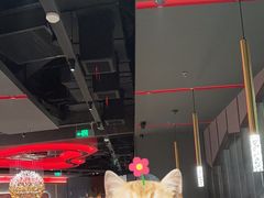 -捞王猪肚鸡火锅(金华义乌之心店)