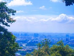 -火炉山森林公园