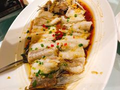 东坡江团鱼-眉州东坡(中关村店)