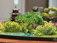 -大连湾旭日·家宴·海肠捞饭(马栏广场店)