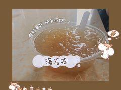 -老妈宫粽球