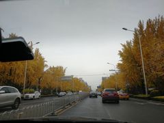 -古耳咖啡(北锣店)