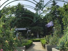 -南山植物园